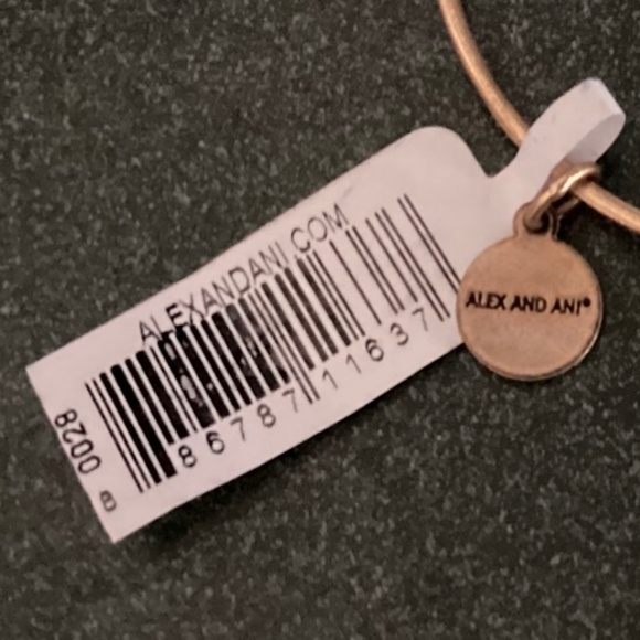 Alex and Ani Expandable Wire Bracelet True Direction New with tag - Picture 8 of 8